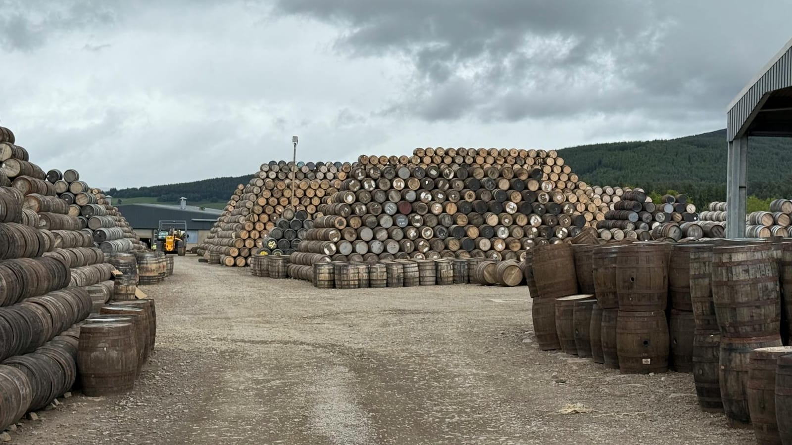 Constellation confident on improving wine-and-spirits EBIT margins